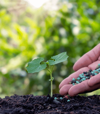 beneficios del compost beneficios